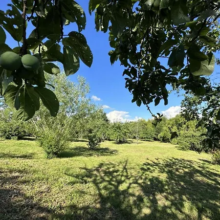 Maison Renovee Pres De Maurs, Jardin, Terrasse, Parking Prive, Activites Et Monts Du Cantal. - Fr-1-742-274 Feriehus